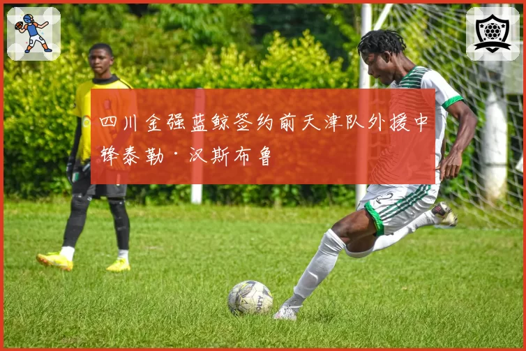四川金强蓝鲸签约前天津队外援中锋泰勒·汉斯布鲁