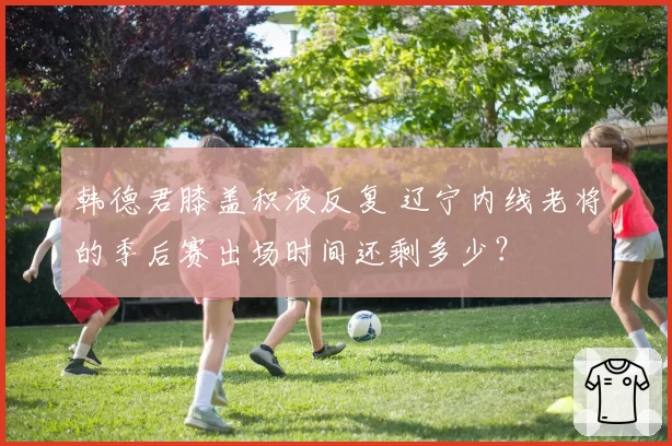 韩德君膝盖积液反复 辽宁内线老将的季后赛出场时间还剩多少?