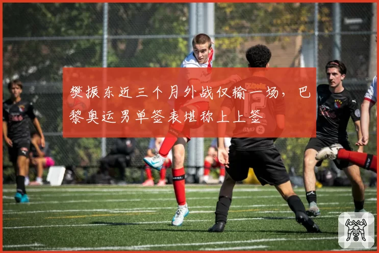 樊振东近三个月外战仅输一场，巴黎奥运男单签表堪称上上签