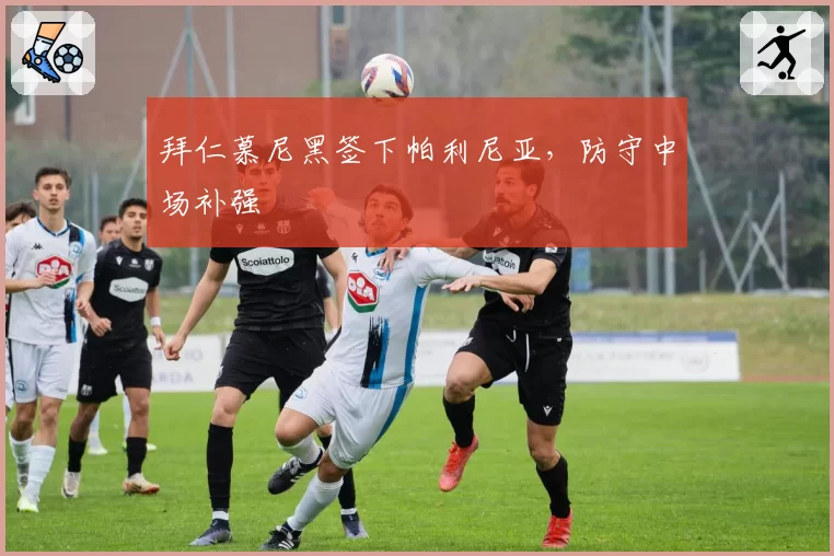 拜仁慕尼黑签下帕利尼亚，防守中场补强