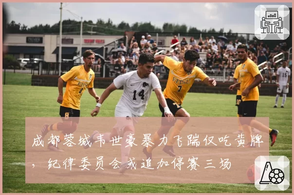 成都蓉城韦世豪暴力飞踹仅吃黄牌,纪律委员会或追加停赛三场