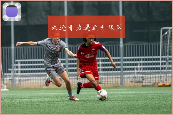 大连可为逼近升级区