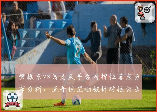 樊振东vs马龙反手台内拧拉落点分布分析，正手位空档被针对性打击